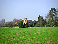 Steele Farm Field
